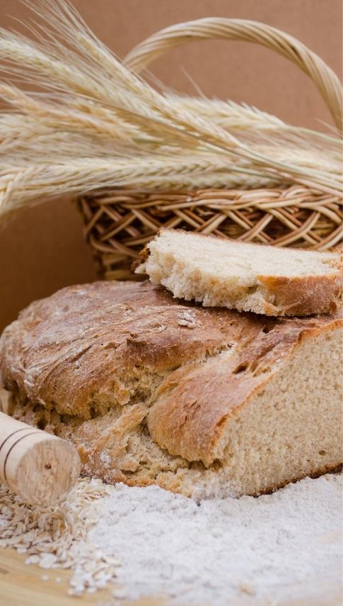 lorem ipsum dolor sit